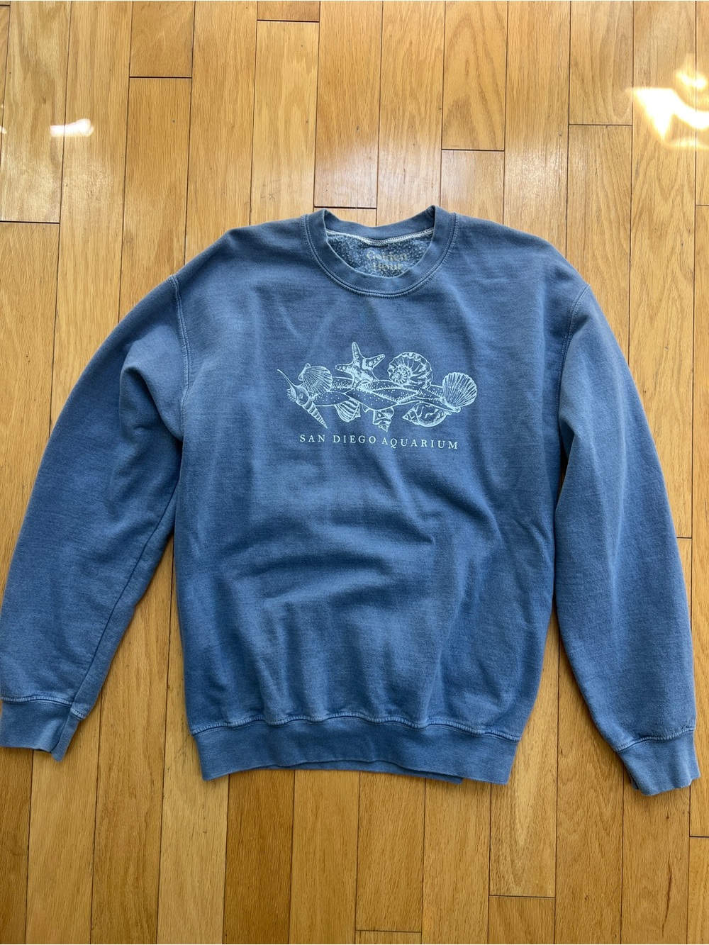 PacSun Blue Crewneck Sweatshirt with Sea Life Graphic